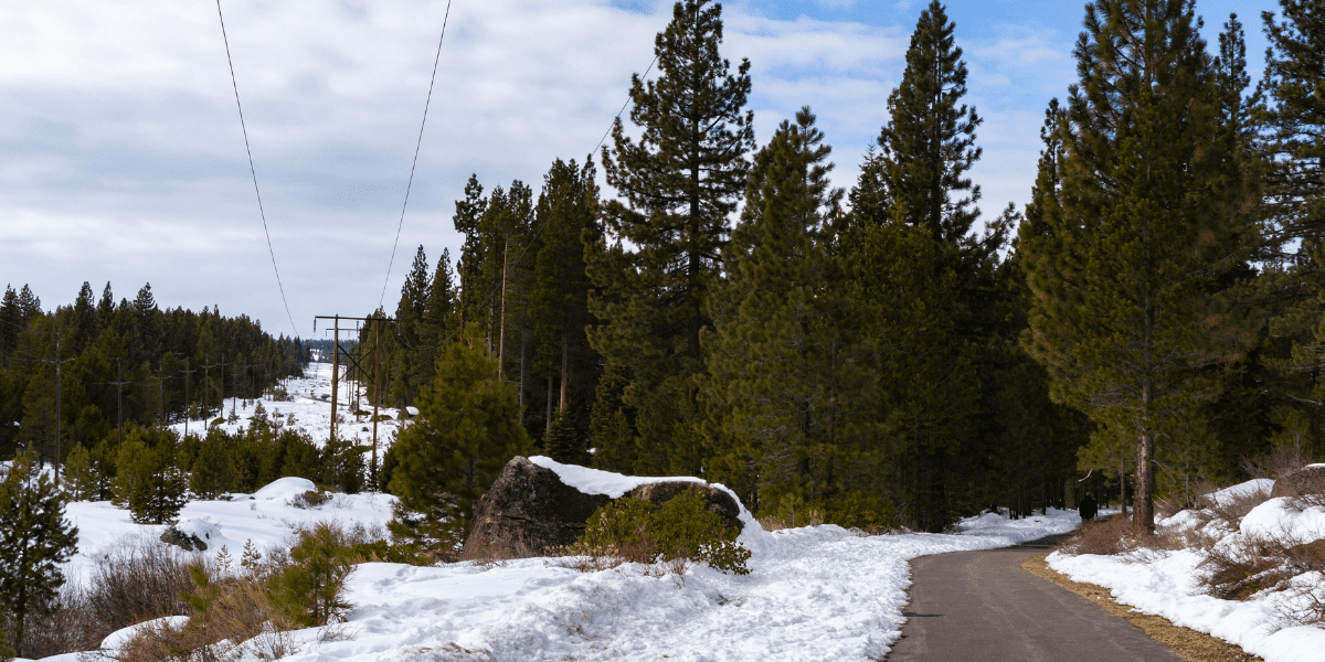 A view of an open section of the Trout Creek Trail in Truckee.