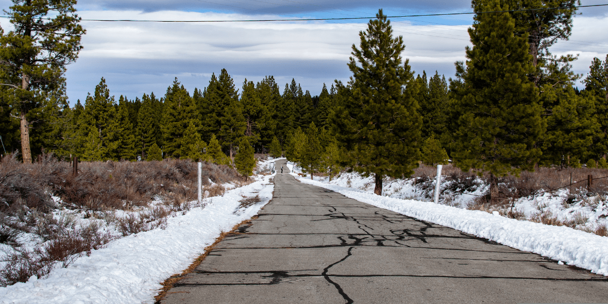 Wide view of the Martis Dam Road, a snow free winter trail in Truckee.