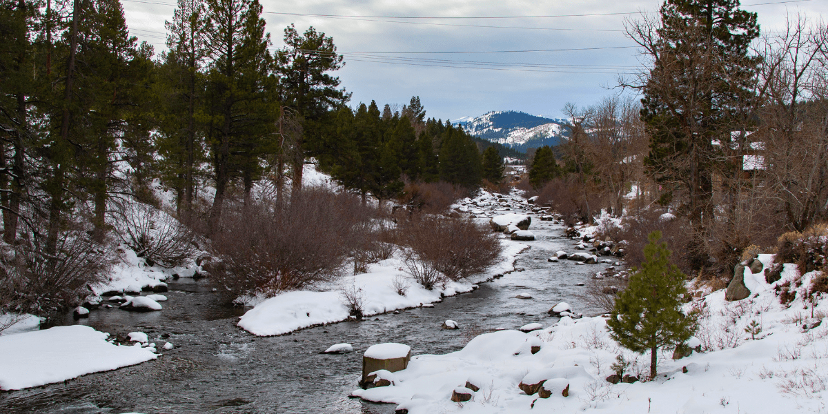 A view of the Truckee River from the pedestrian bridge on the Legacy Trail.