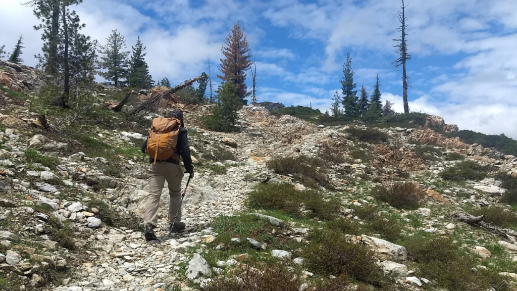 Hiking in Truckee