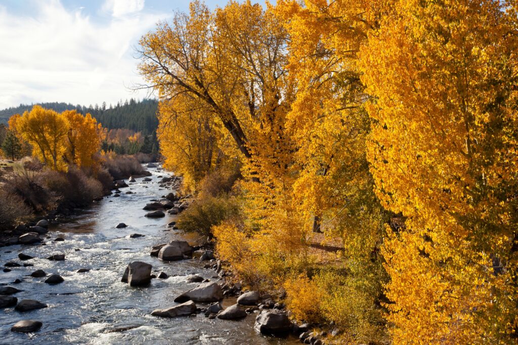 Visit Truckee in Fall