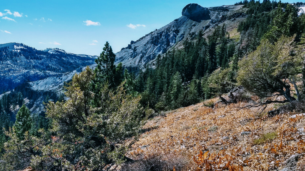 Scenic views from Mt. Lola hike in Truckee, CA
