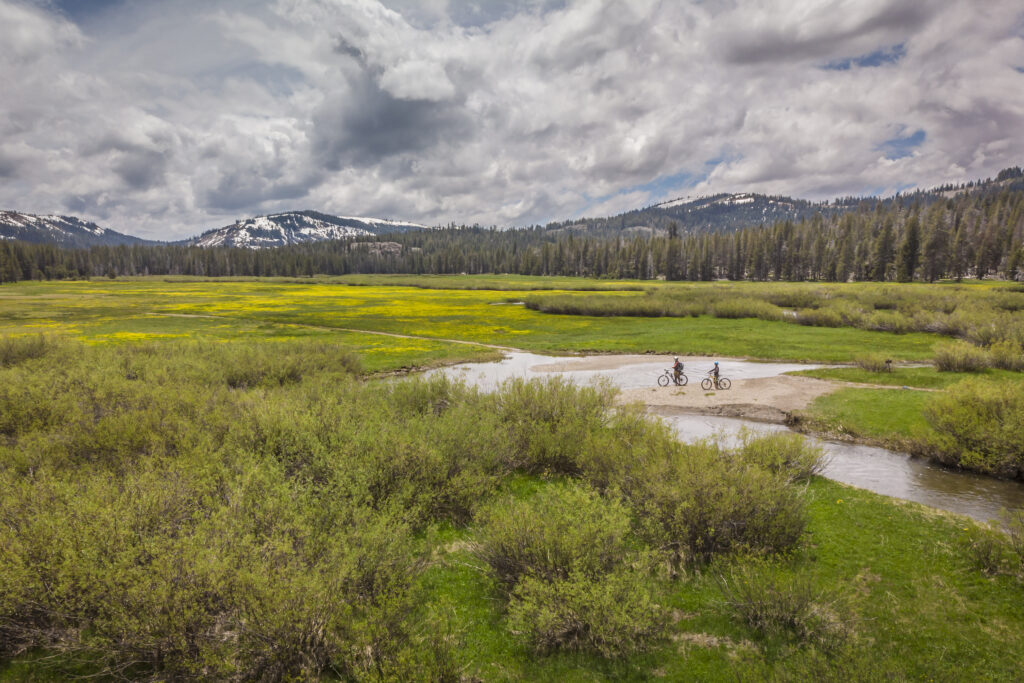 Explore Lacey Meadow on foot or bike