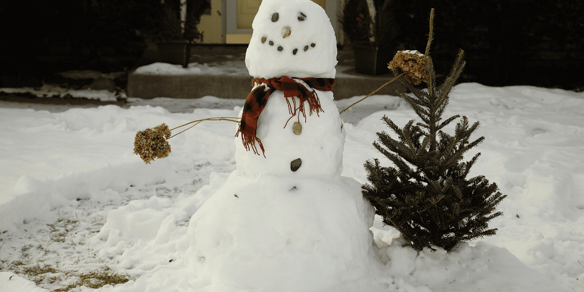 A snowman with a red scarf next to a small pine tree in a front yard of a mountain home.