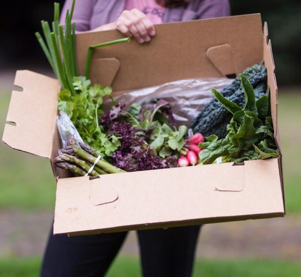 A full Harvest Box from the Tahoe Food Hub