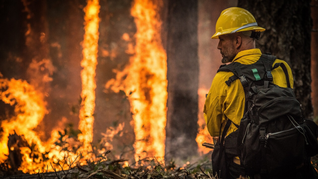 Stop wildfires from burning down Truckee and Lake Tahoe
