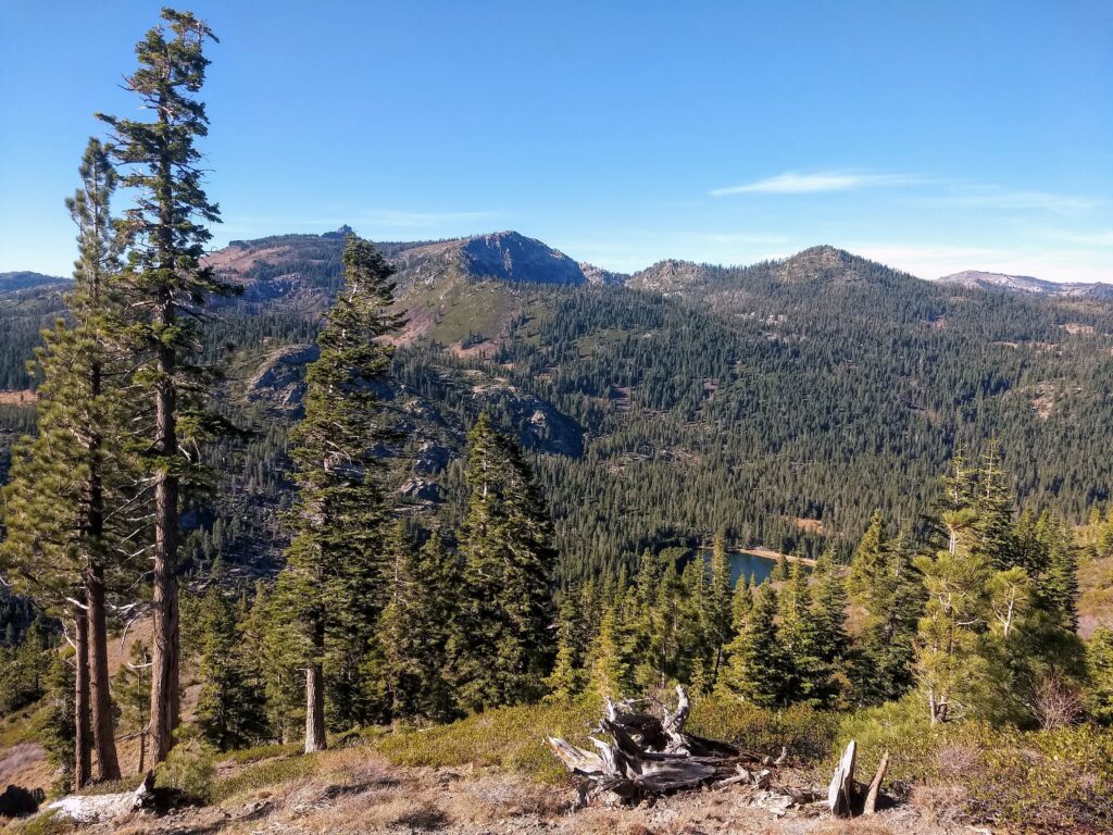 Picnic on Tahoe Donner Trails