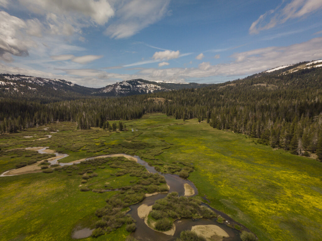 Hike Lacey Meadow in Truckee, CA