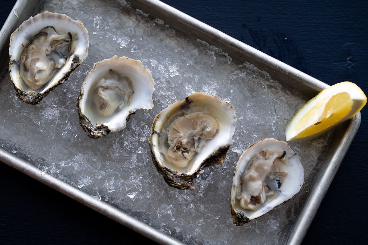 Plate of oysters from Buoy and Trap restaurant in Truckee.