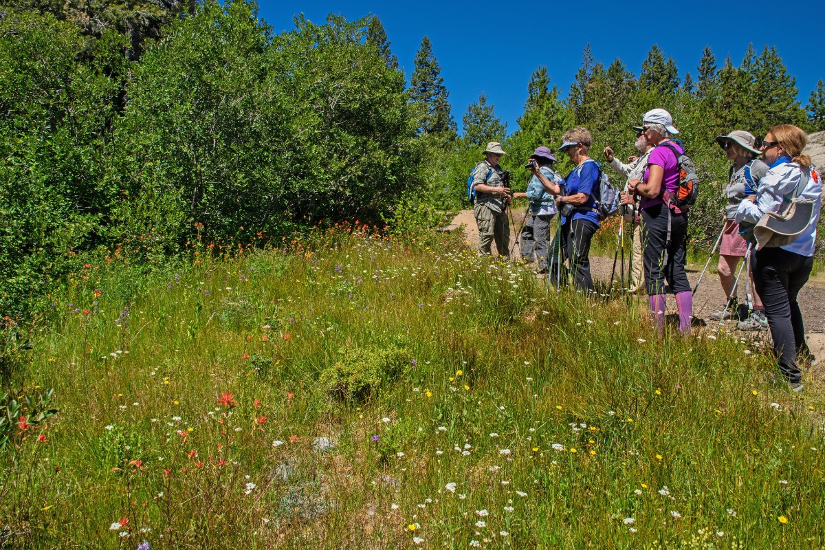 Group of people on a Truckee Donner Land Trust docent-led hike.