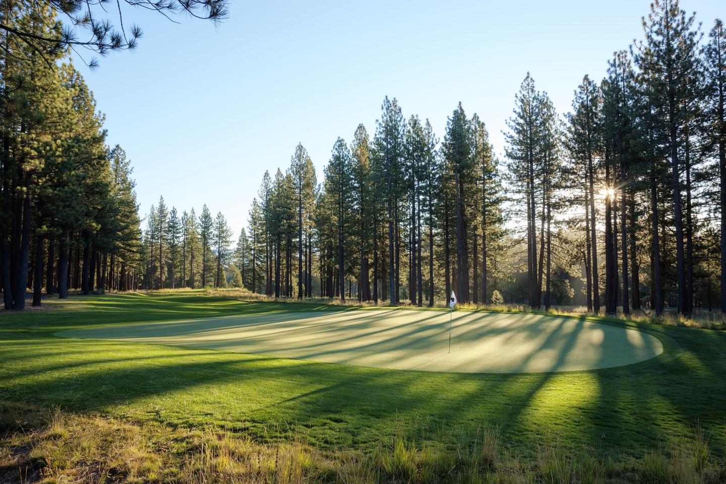 Golf course with tall trees and morning sunlight casting long shadows.