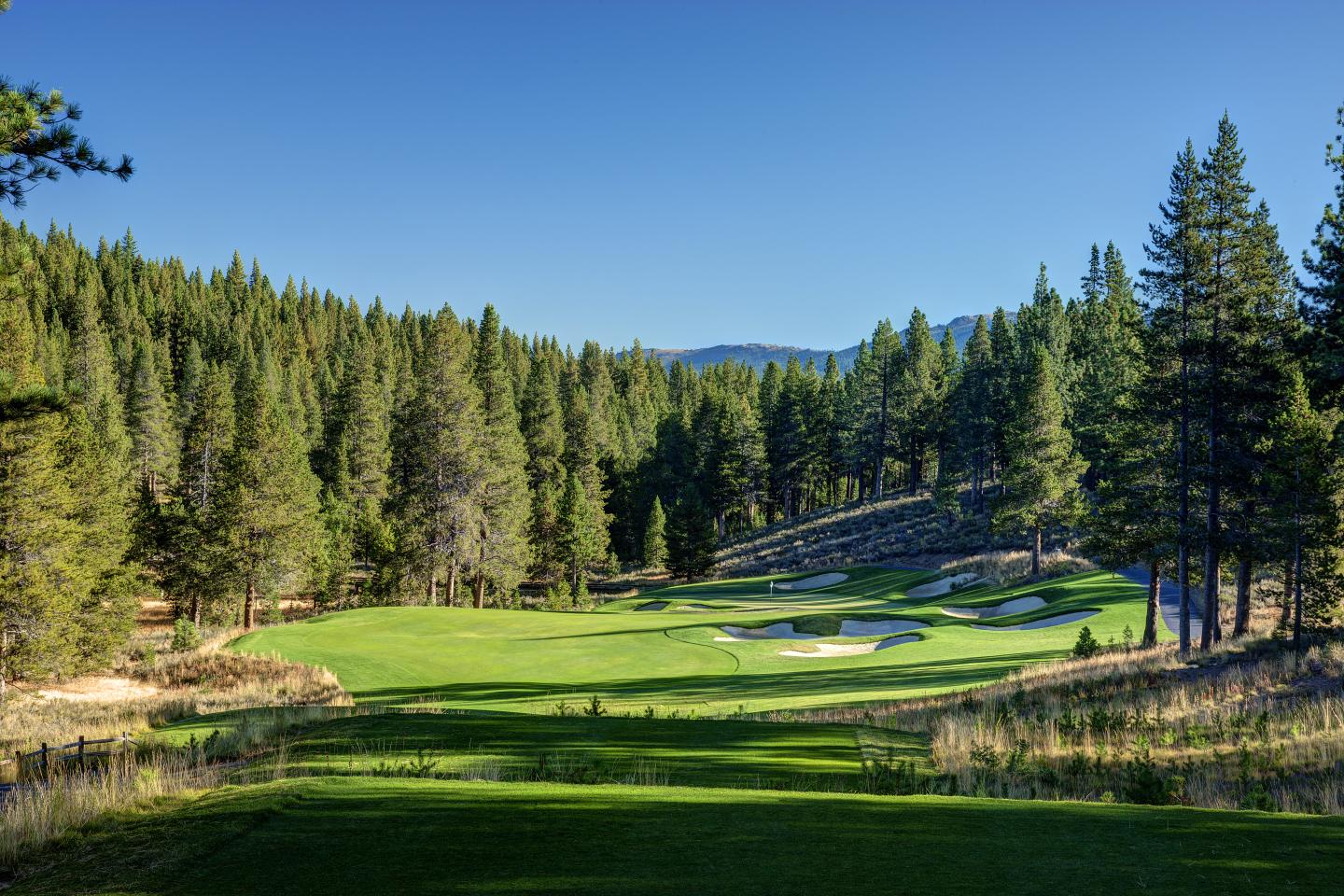 Golf course surrounded by pine trees under a clear blue sky.