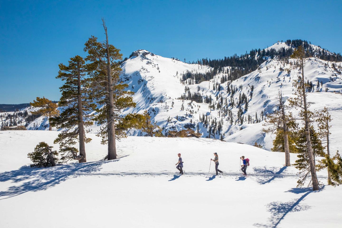 Three people snowshoeing on a snowy mountain with trees and clear blue sky.