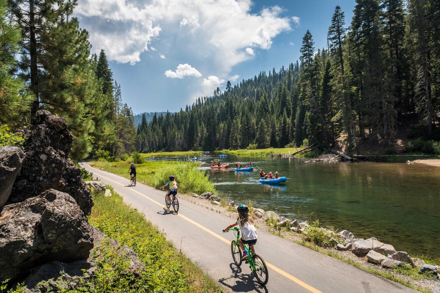 Cyclists on a path beside a river, surrounded by tall pine trees, with kayakers on the water.