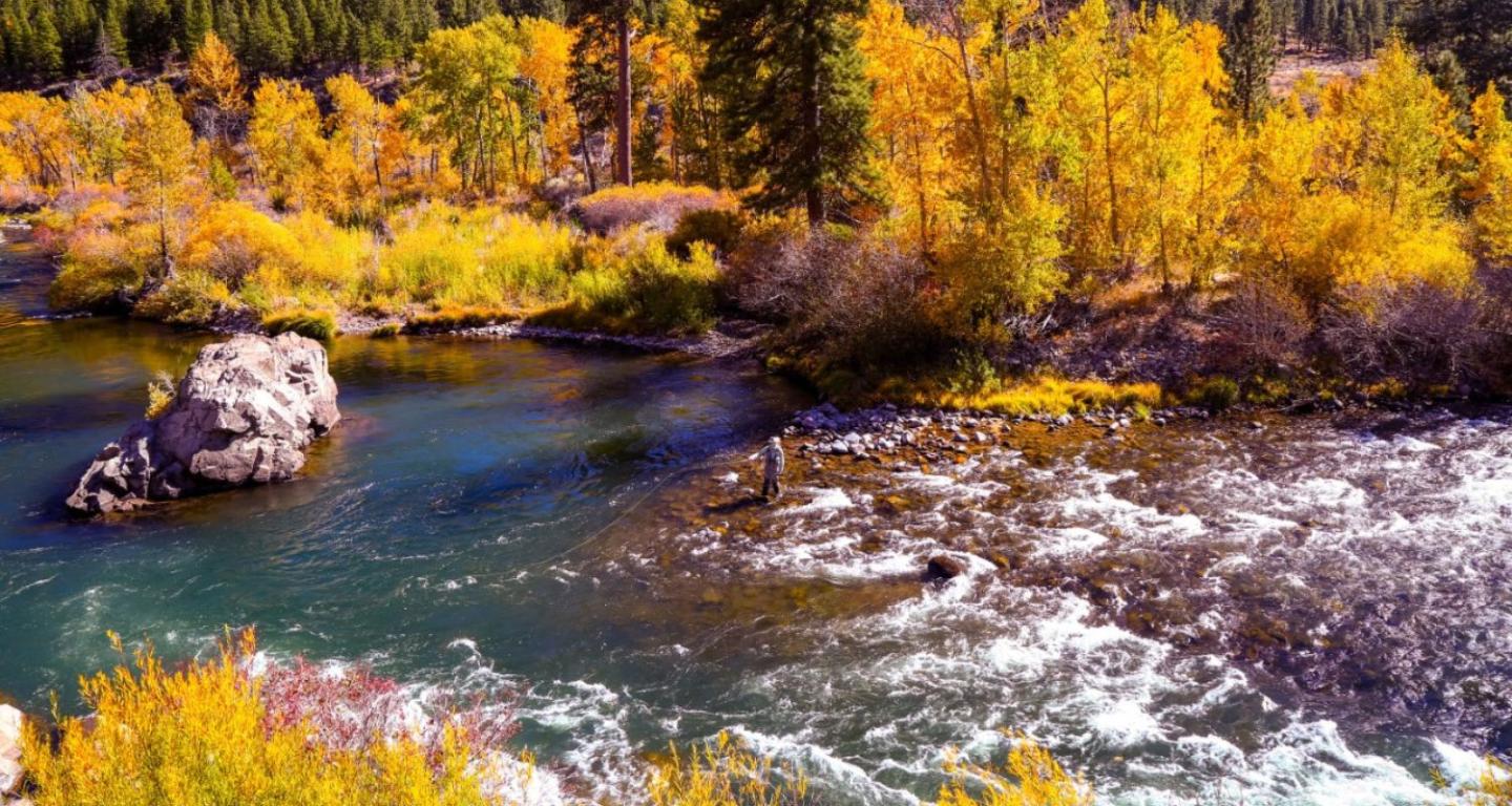 Guide to Fall Fly Fishing in Truckee-Tahoe