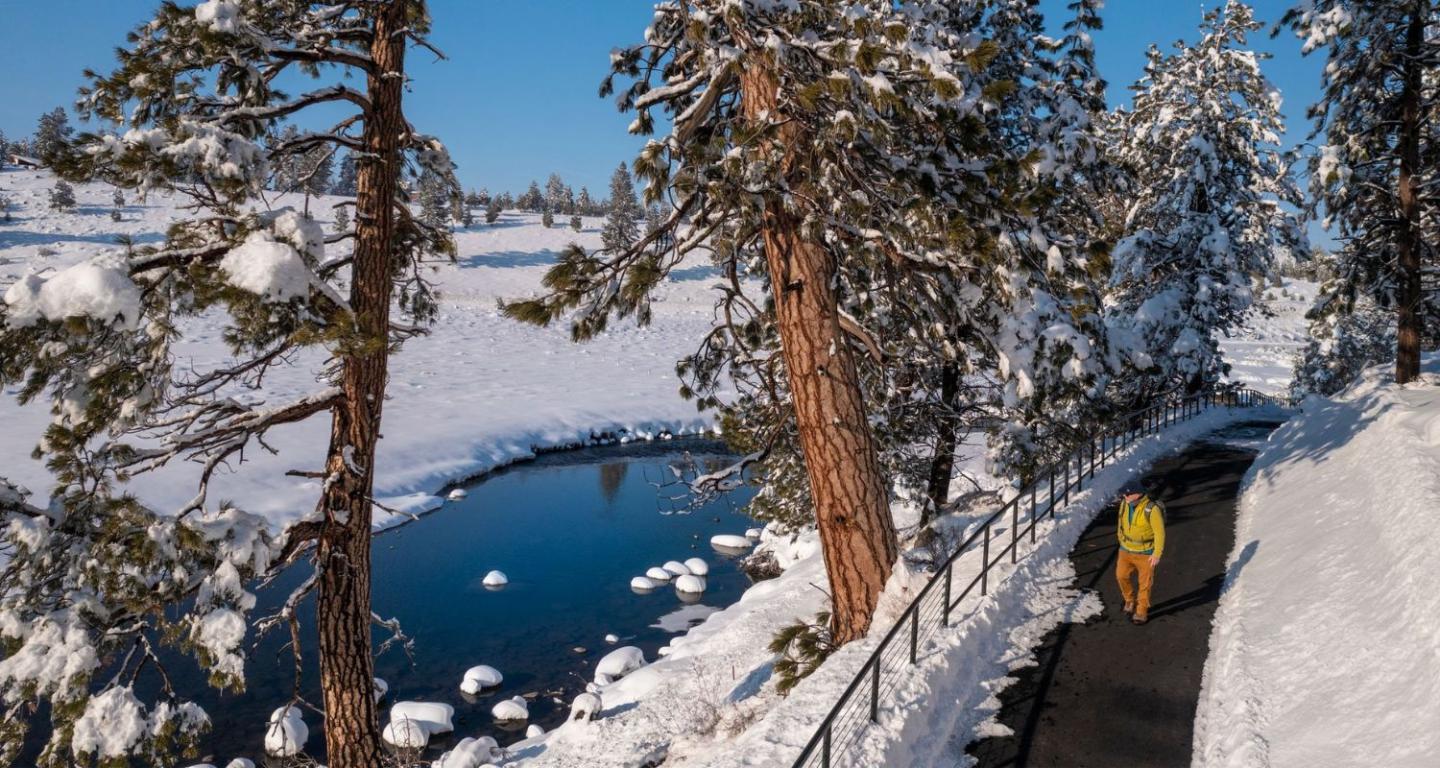 Sustainable Truckee Tips! 10 Ways to Take Action in 2023