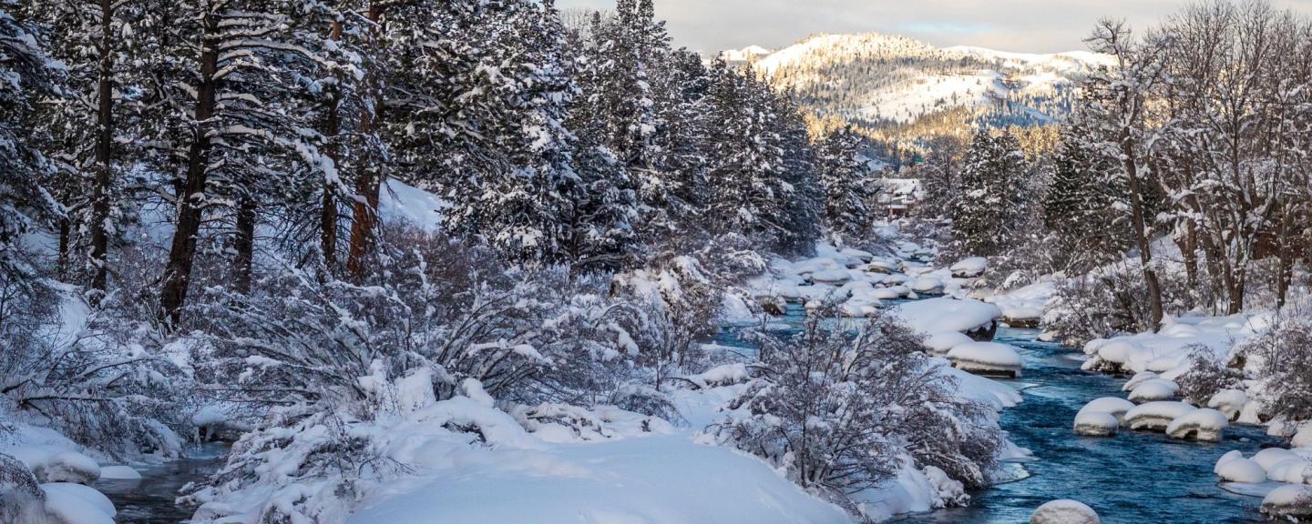 FAQ - Commission-Free Booking Engine on VisitTruckeeTahoe.com