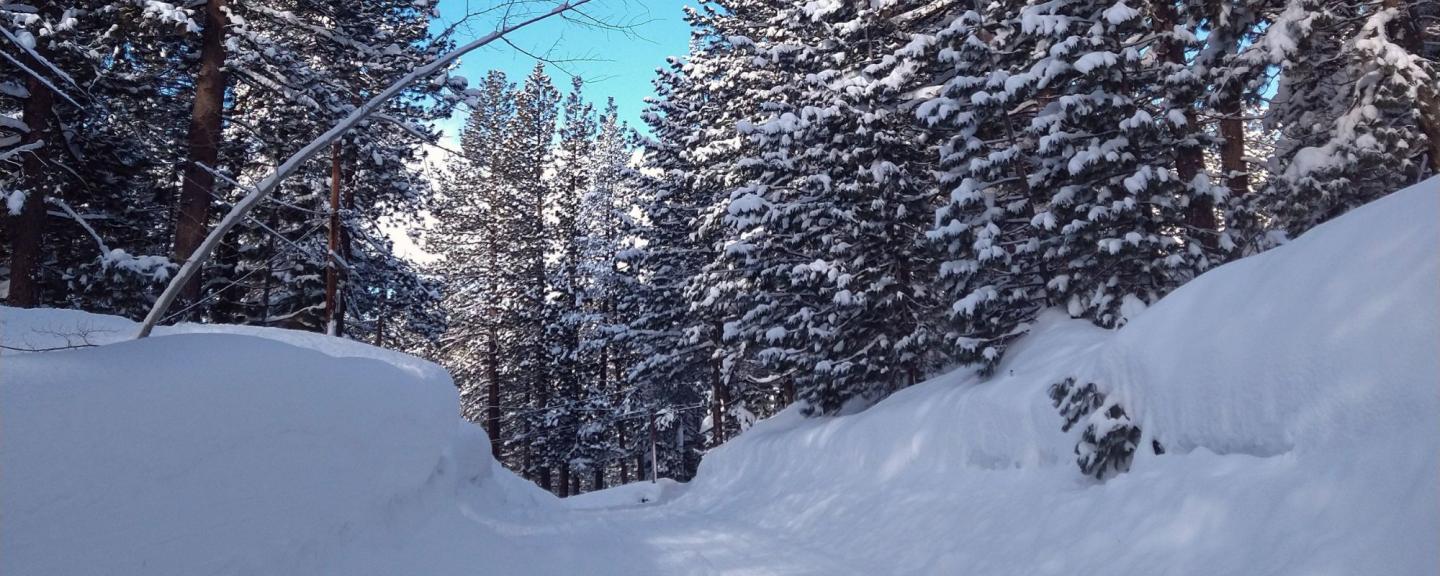Nevada County Declares State of Emergency