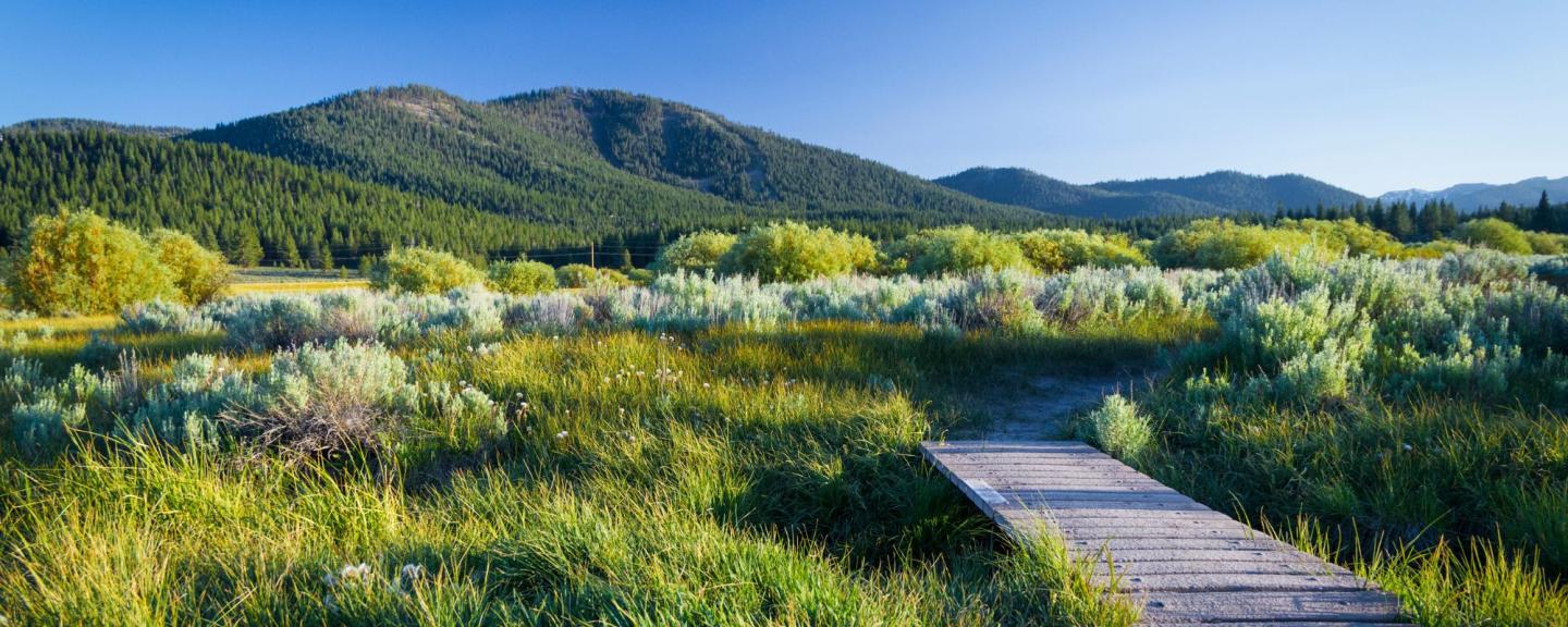 Join Visit Truckee-Tahoe FlashVote Panel to Help Make Truckee Better