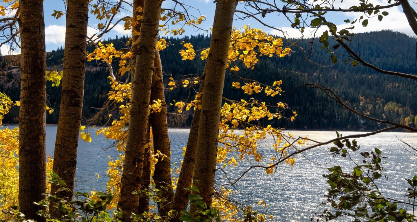 5 Scenic Drives Near Truckee To Catch Lake Tahoe Fall Colors