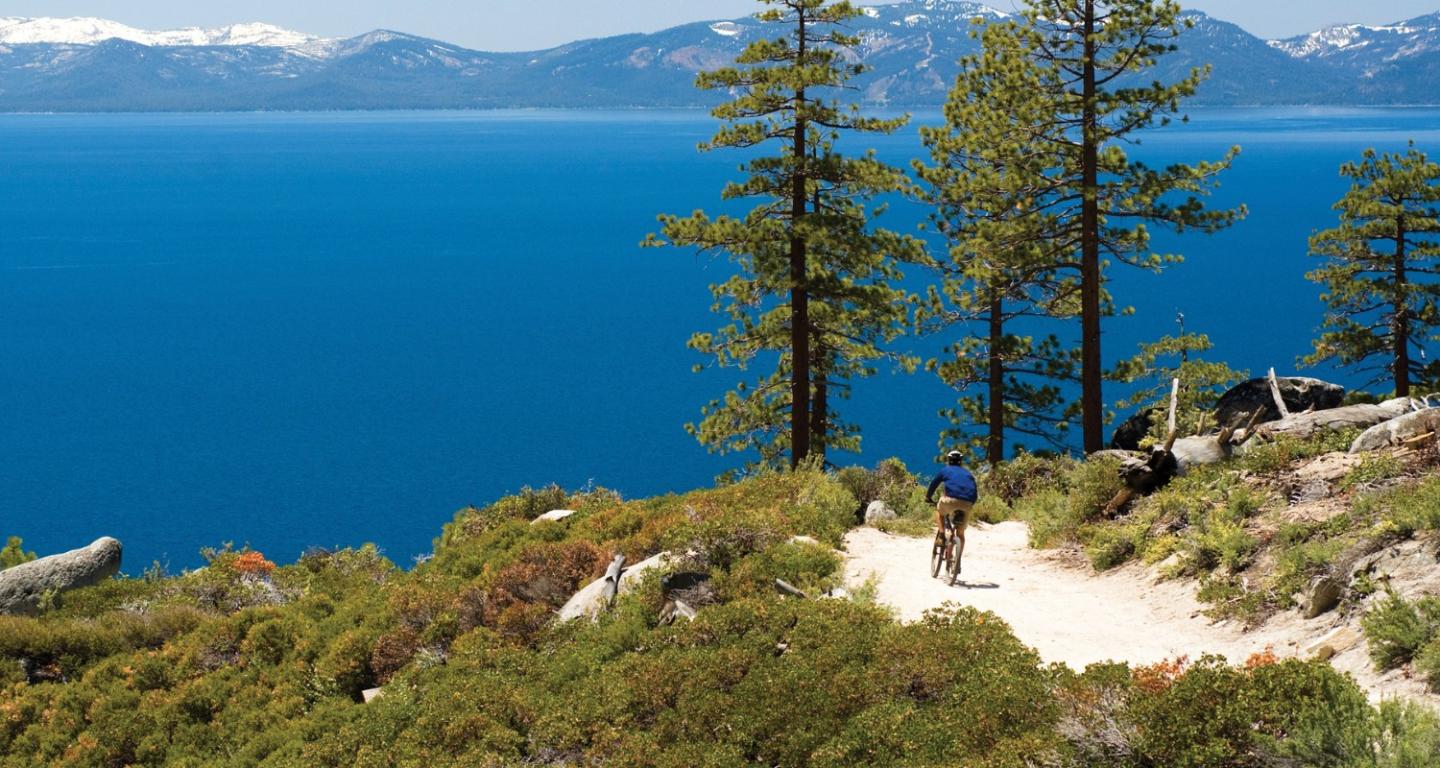 Winter & Summer QR Sheet