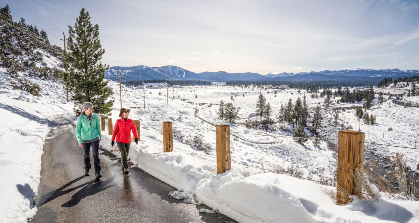Dog-friendly, Snow-Free Winter Trails to Walk or Run in Truckee