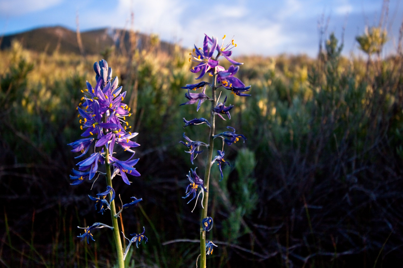 Truckee Hoteliers Meet for Spring/Summer 2024 Updates and Networking