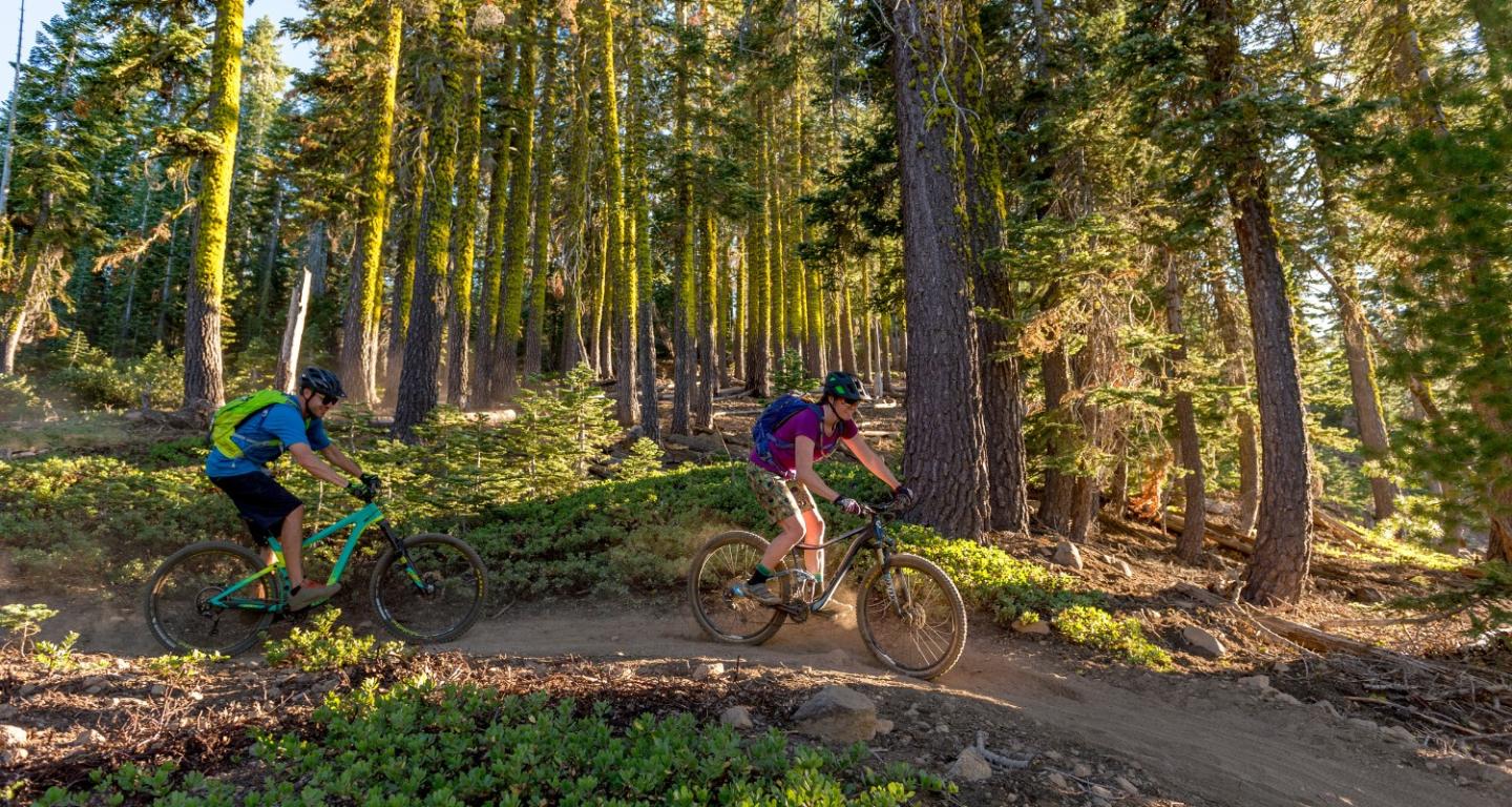 Saddle Up: Truckee-Tahoe Top Summer Bike Trails!