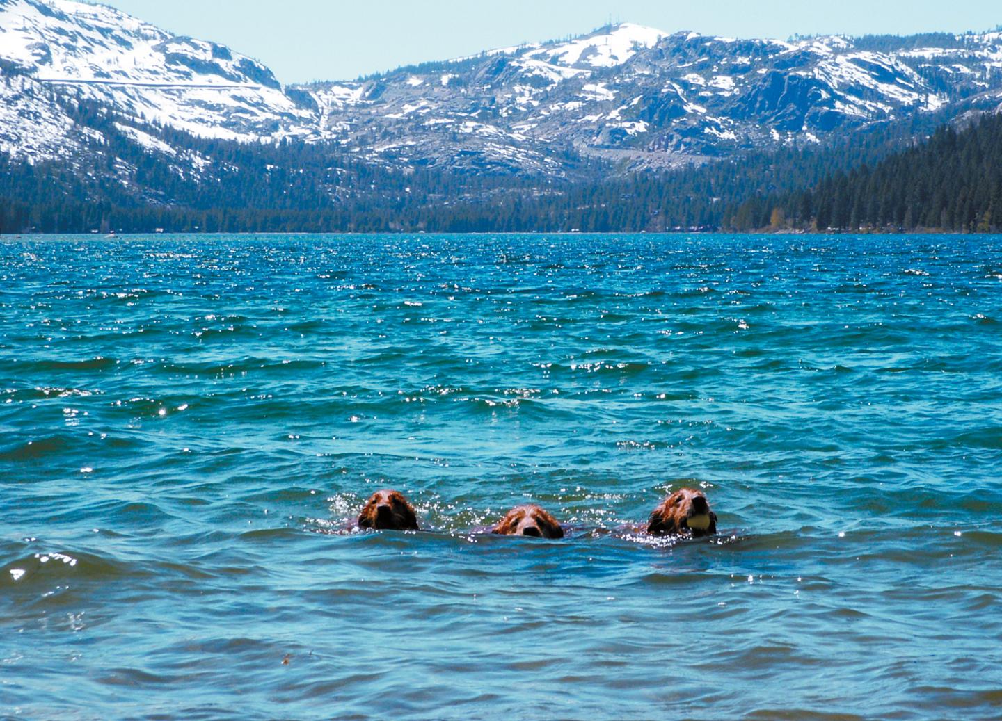 Truckee Property Managers Meet for Spring/Summer 2024 Updates and Networking
