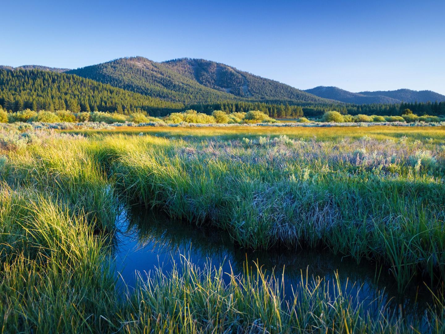 Truckee Hoteliers - Post Spring Meeting Update