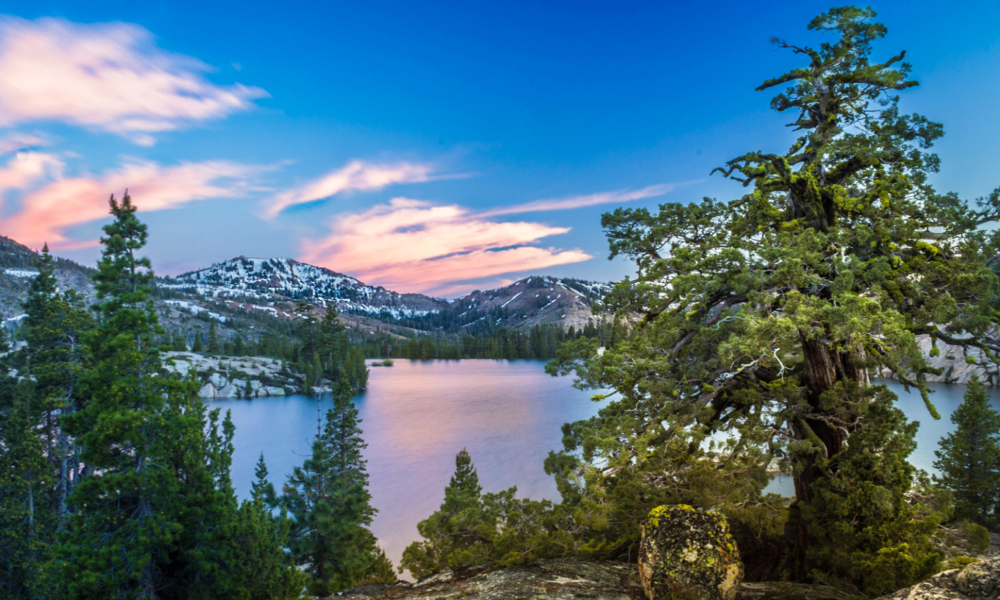 Visit Truckee-Tahoe Welcomes Mat Woods to Discuss Carbon Zero Economy by 2030