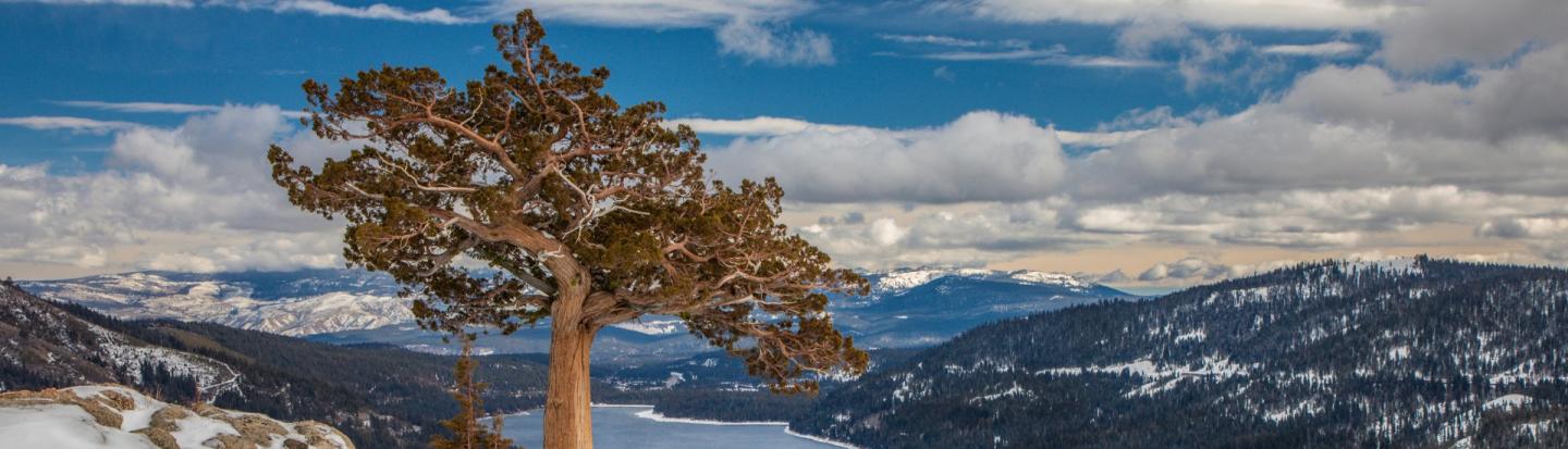 Four Seasons of Fun: Truckee’s Top 10 Experiences