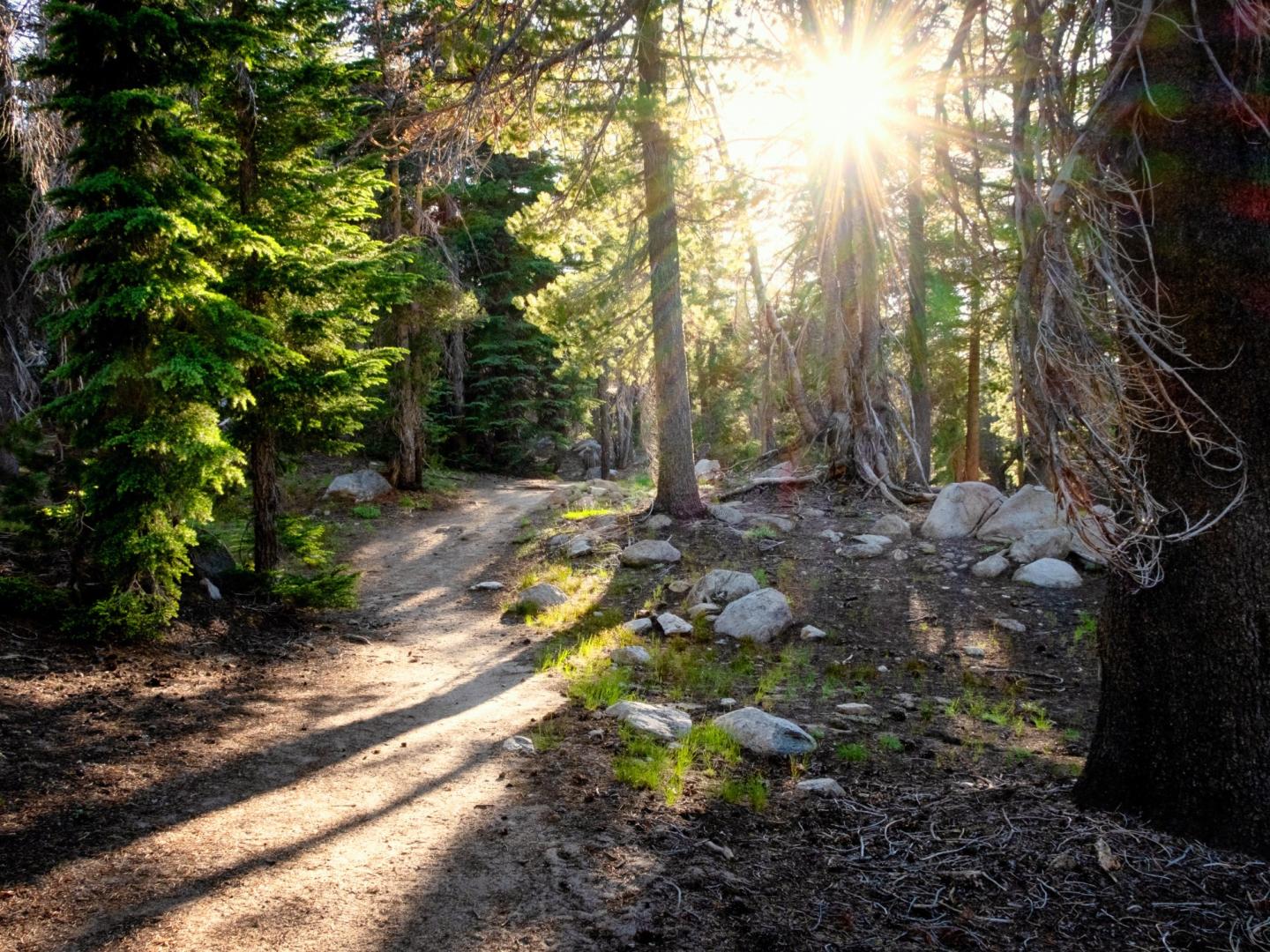 10 Easy Ways to Travel Sustainably in Truckee-Tahoe