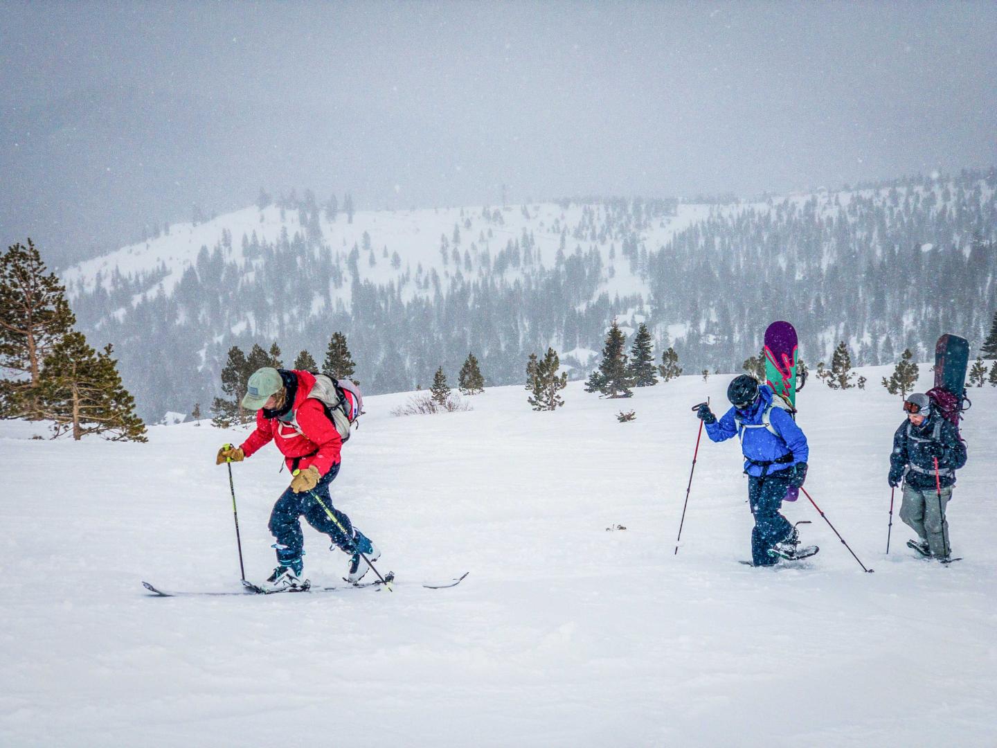 Skiers trekking up a snowy mountain with trees in the background.
