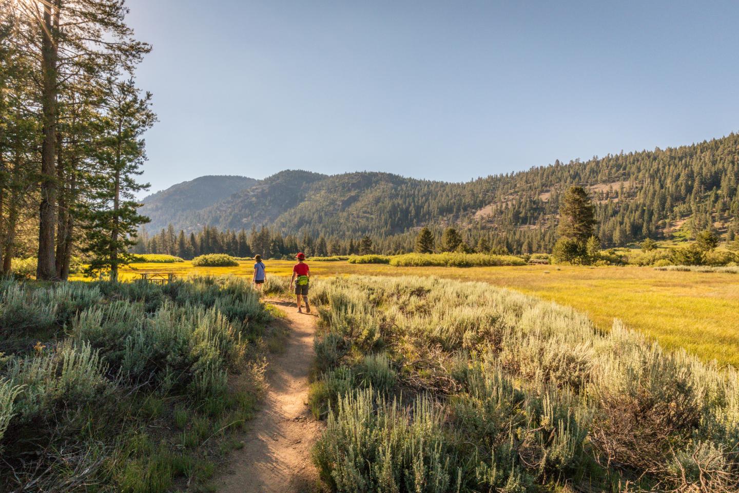 Two people walking on a trail in a sunny mountain meadow.