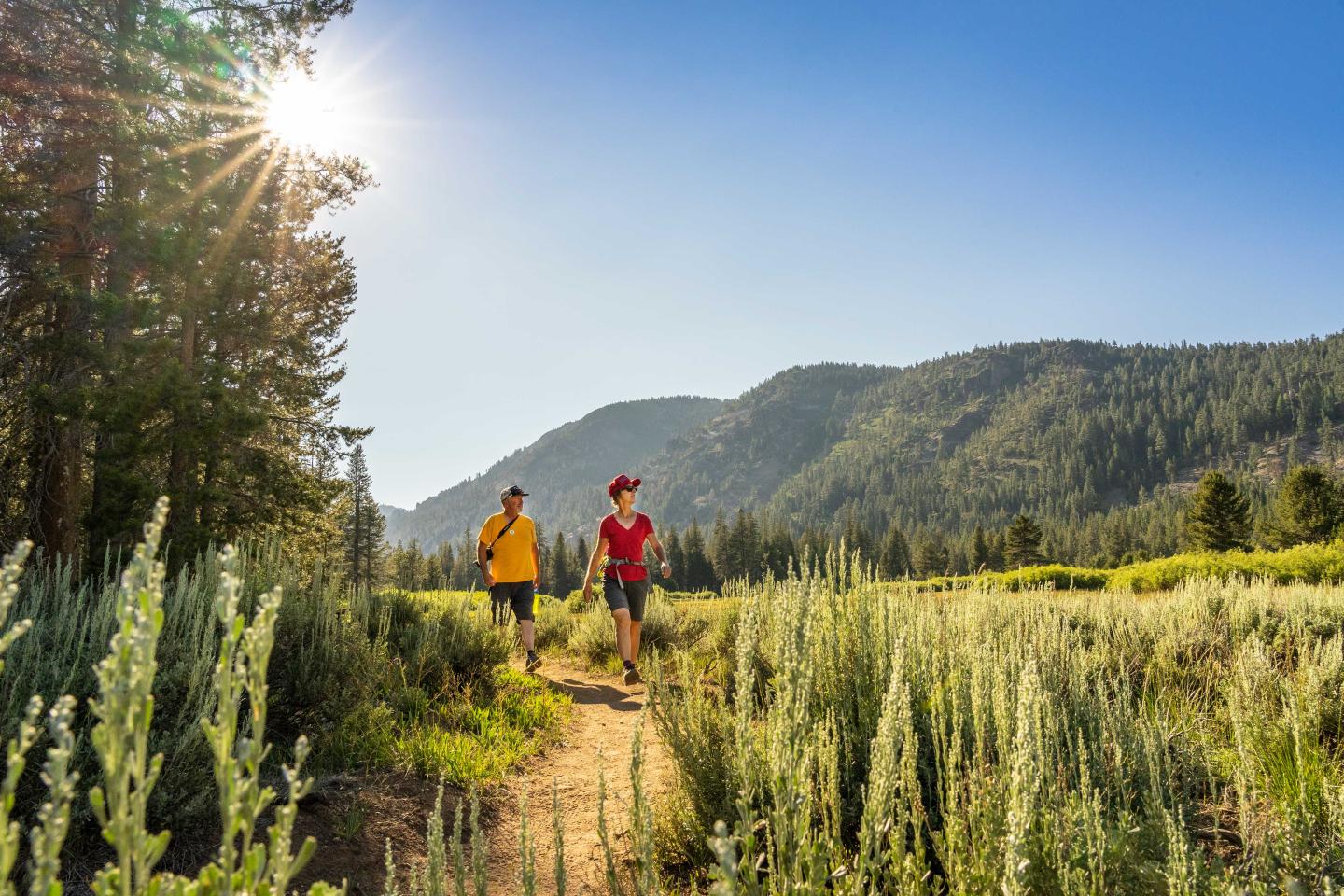 Two people hike a sunny trail in a forested mountain landscape.