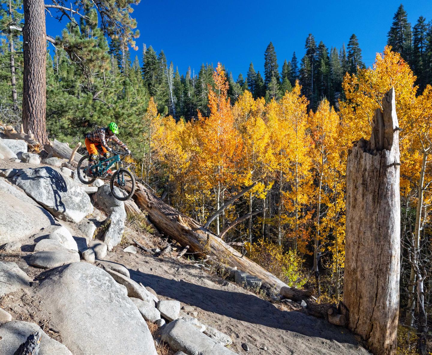 Mountain biker navigating rocky trail amidst autumn trees.