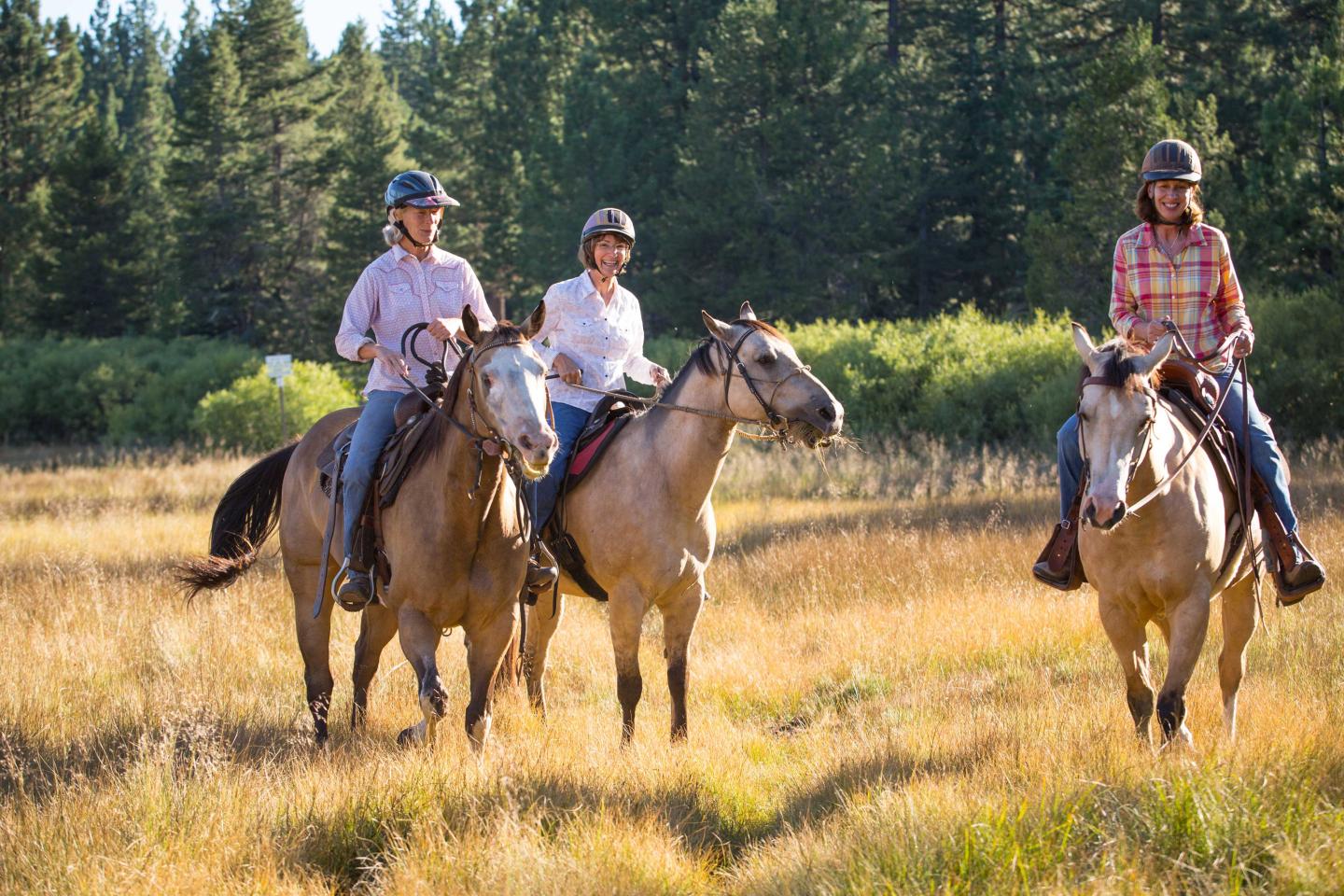 Three people horseback riding in a sunny field, surrounded by trees.