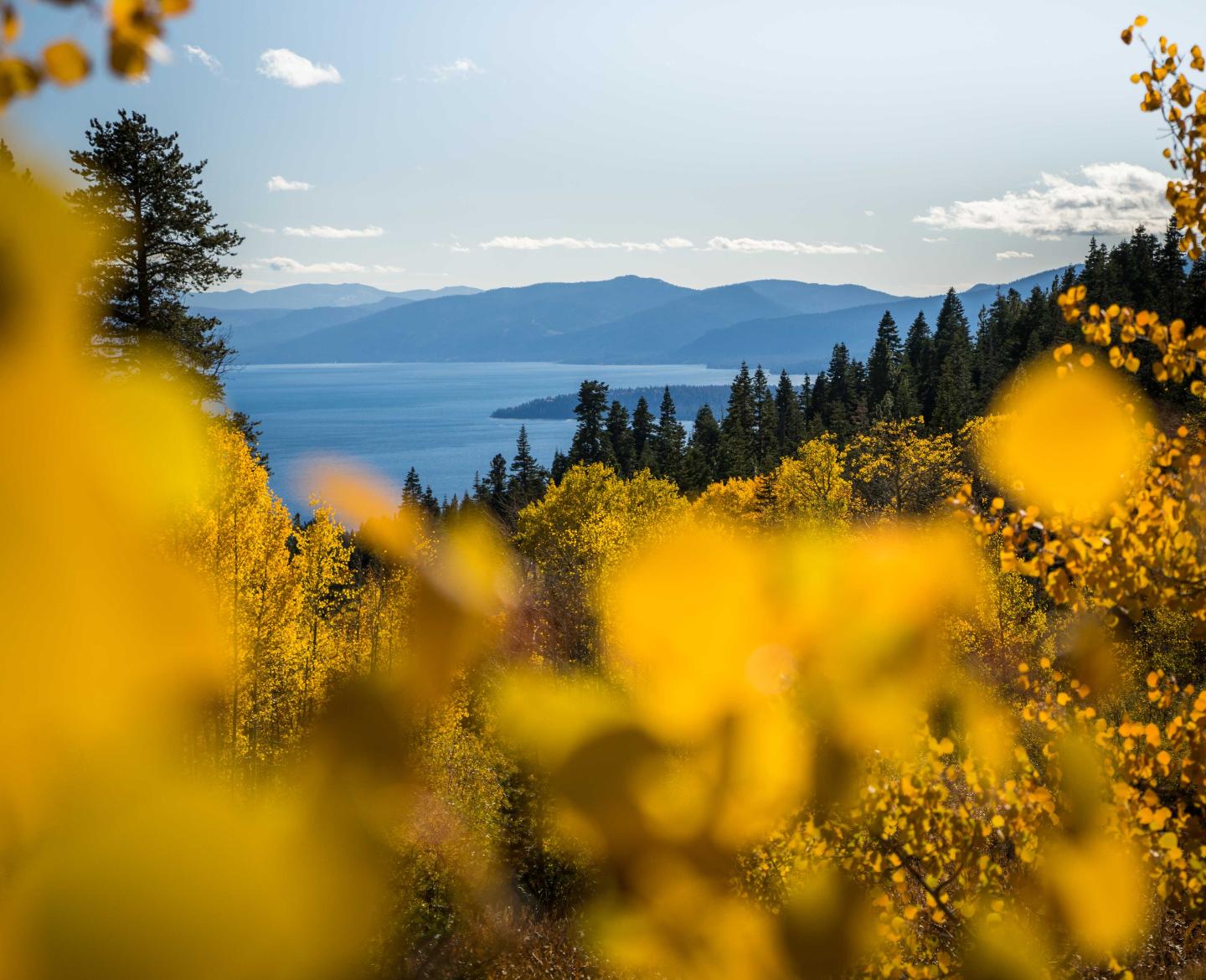 Autumn trees with yellow leaves overlook a distant blue lake and mountains.
