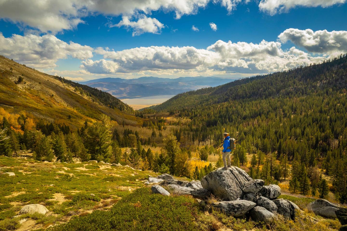 Man standing on rocky hill in scenic mountain valley with trees, under blue sky.