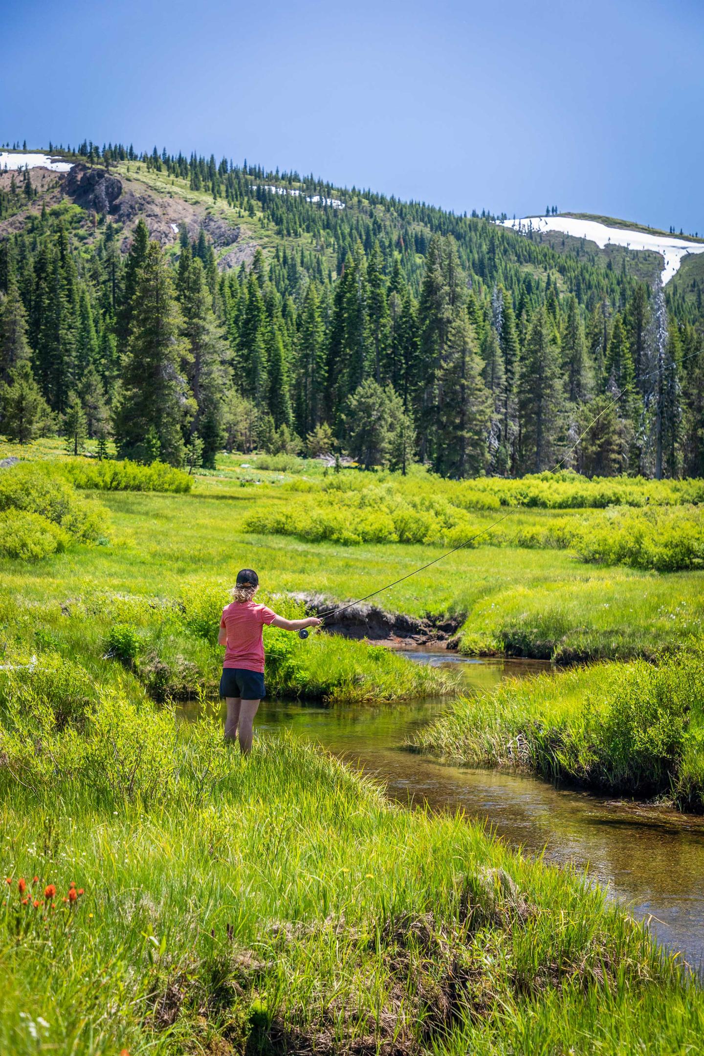 Person fishing by a stream in a lush, green meadow with trees and snowy mountains.