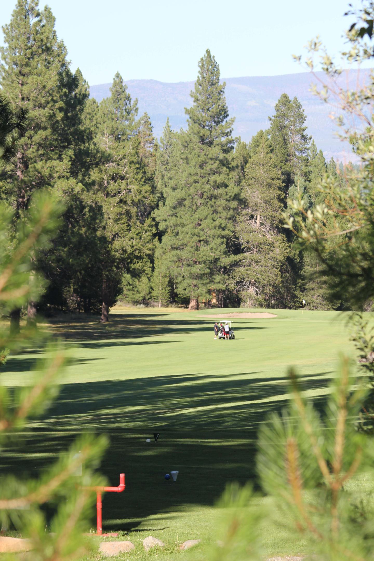 Golf course with trees, a distant golfer, and mountains in the background.