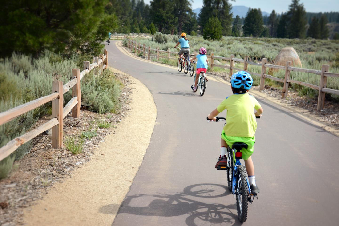Cyclists on a paved path through a scenic, wooded area.