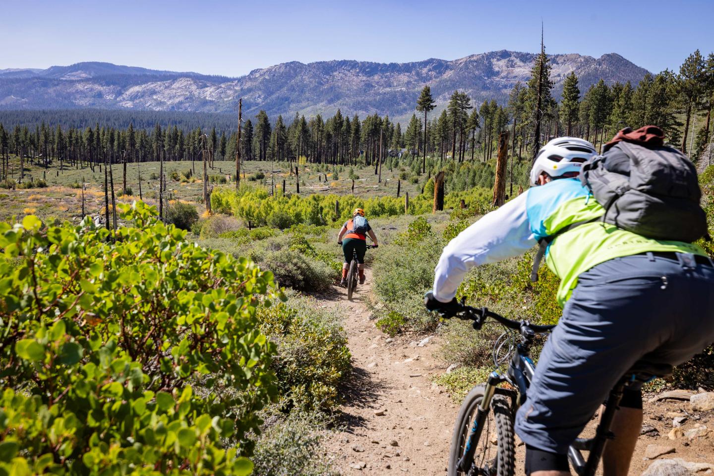 Cyclists riding on a forest trail with mountains in the background.