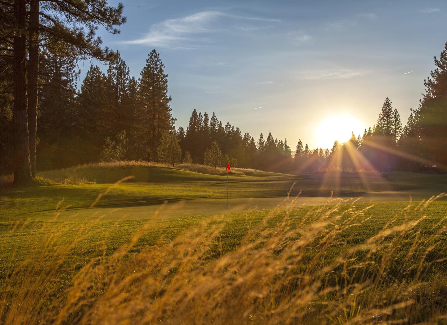 Sun setting over a grassy golf course surrounded by trees.