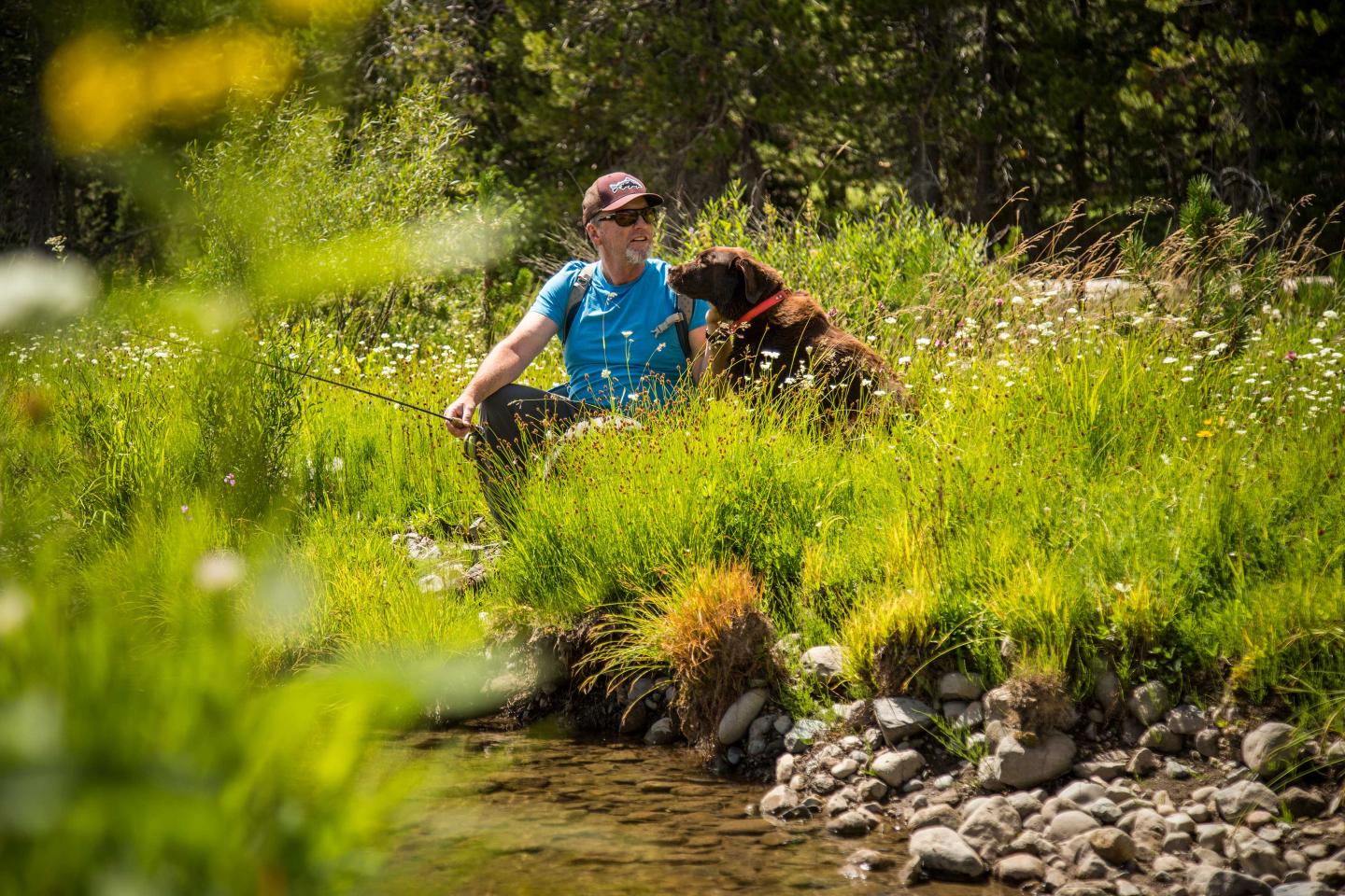Person sitting by a stream with a dog, surrounded by lush greenery.