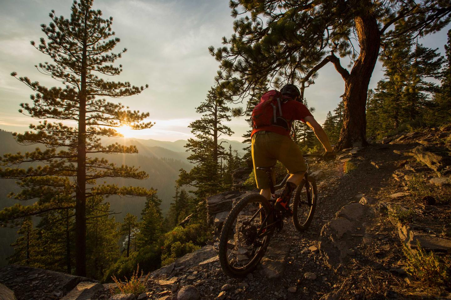 Mountain biker on rocky trail at sunset, surrounded by tall trees.