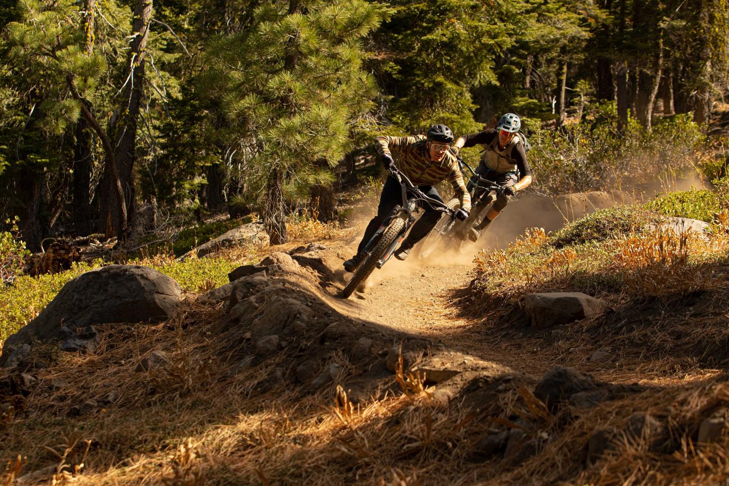 Mountain bikers racing down a forest trail surrounded by trees.