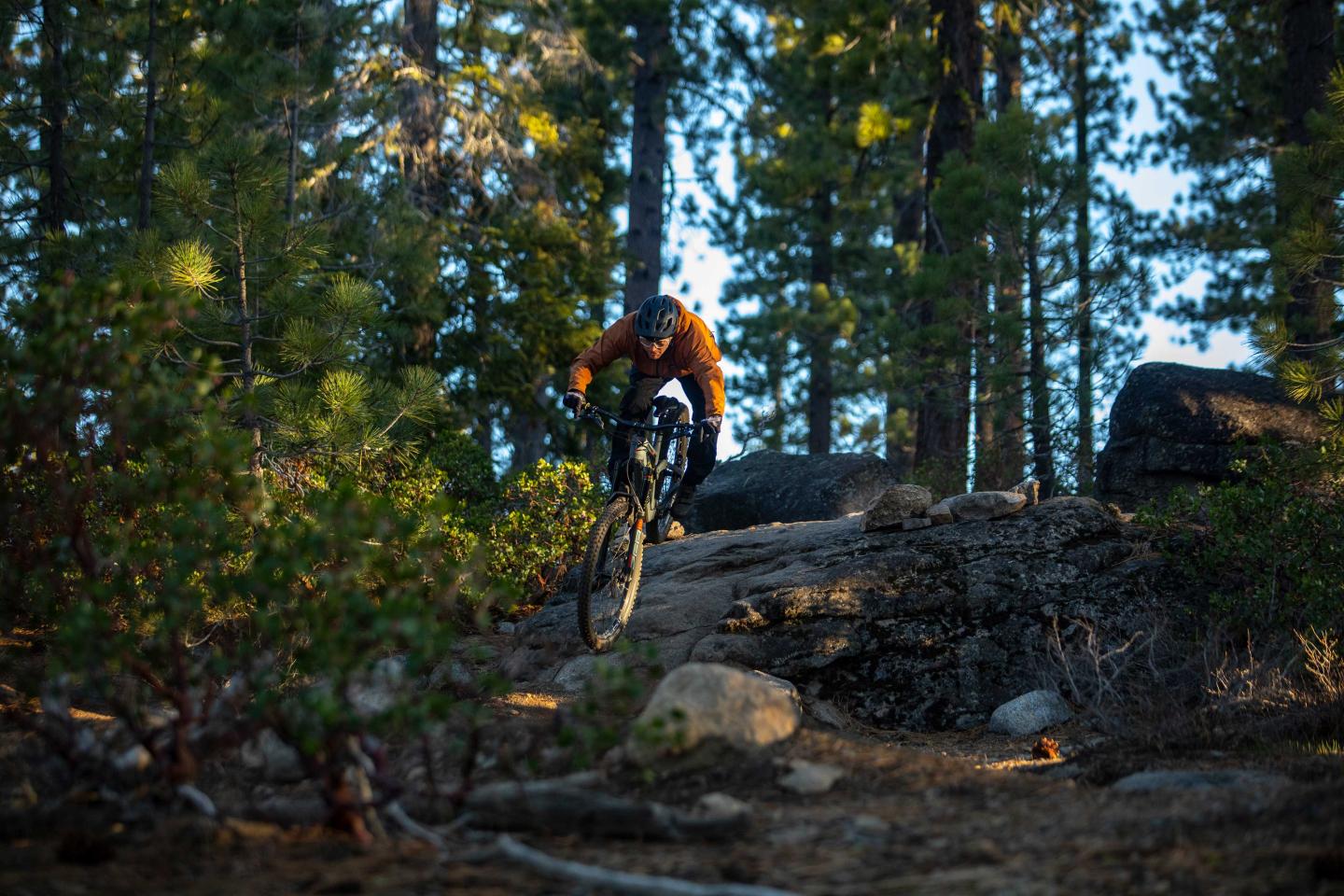 Cyclist on rocky mountain trail in a forest setting.
