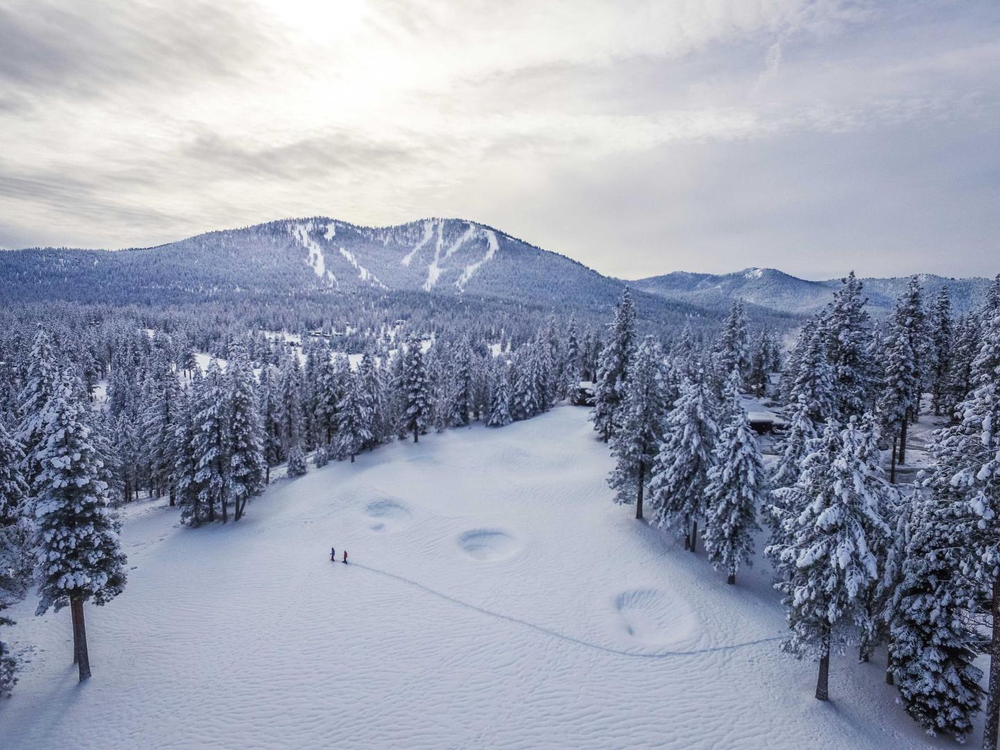 Snowy landscape with pine trees, distant mountain, and cloudy sky.